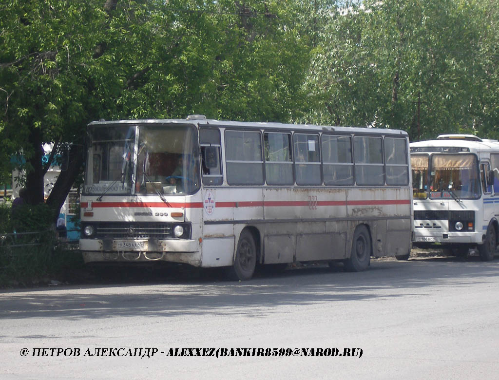 Курганская область, Ikarus 260.50 № У 348 АА 45 — Фото — Автобусный  транспорт