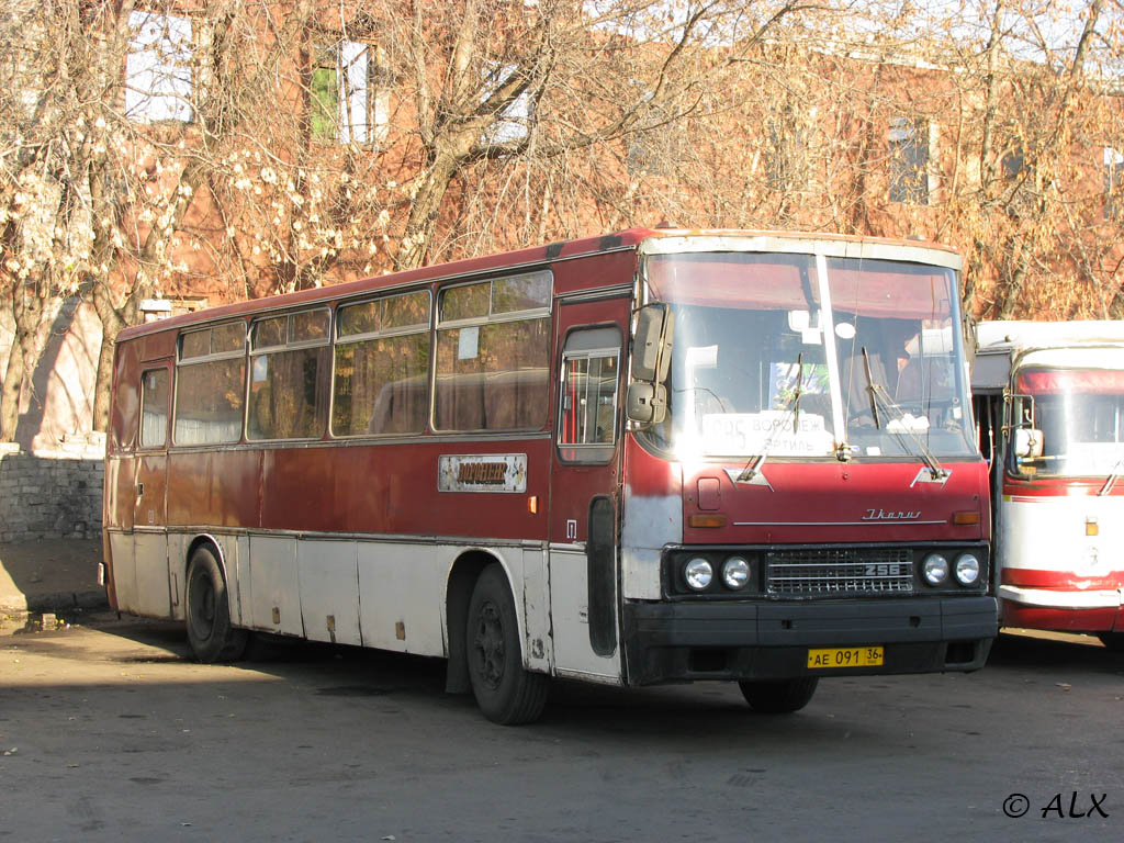 Воронежская область, Ikarus 256 № АЕ 091 36 — Фото — Автобусный транспорт