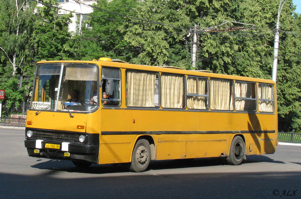 Воронежская область, Ikarus 280.03 № АЕ 092 36