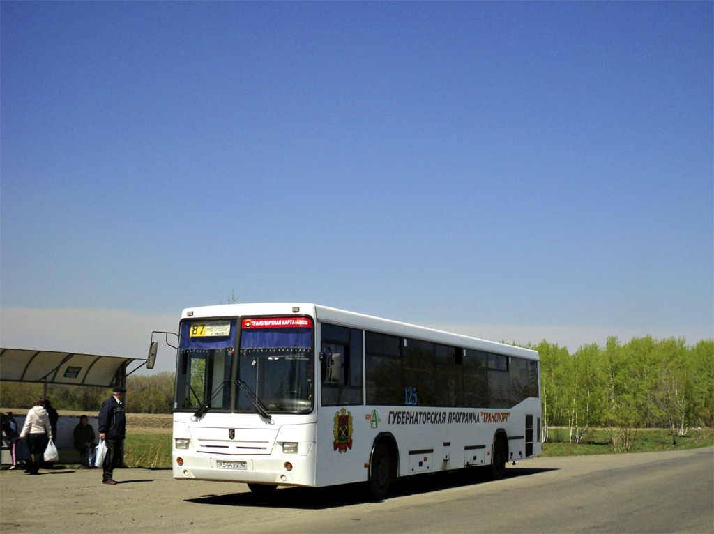 Kemerovo region - Kuzbass, NefAZ-5299-10-33 # 125