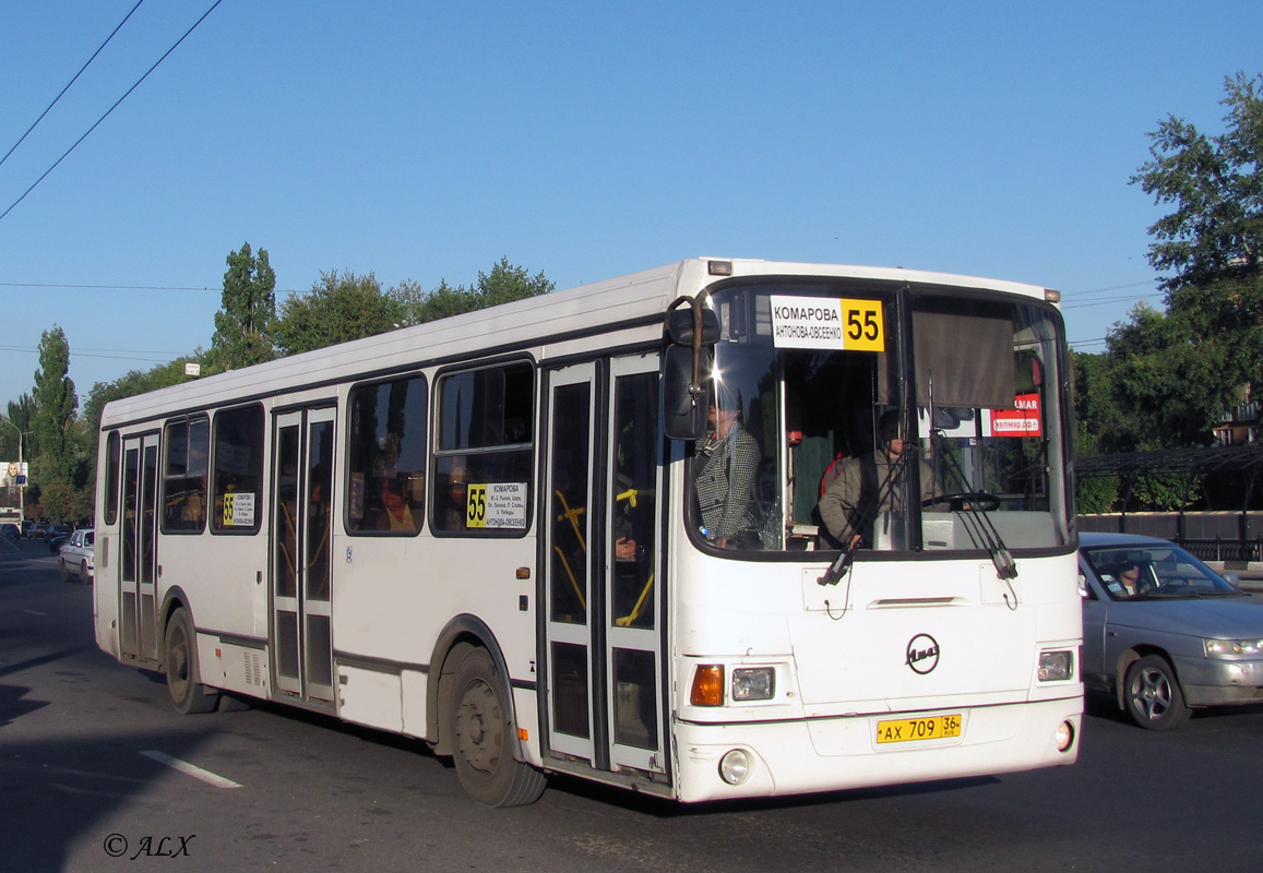 Voronezh region, LiAZ-5256.36 # АХ 709 36