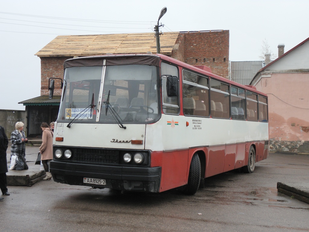 Витебская область, Ikarus 256.75 № 33316 — Фото — Автобусный транспорт