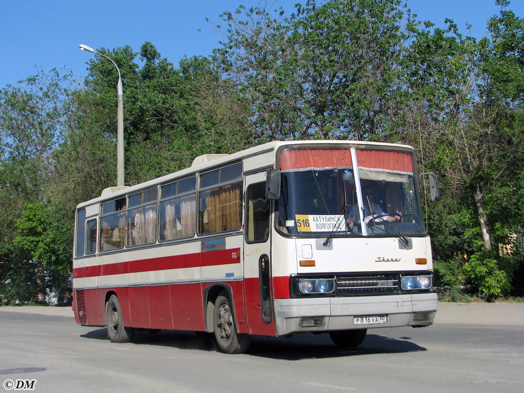 Астраханская область, Ikarus 256.75 № Р 816 ХА 30 — Фото — Автобусный  транспорт