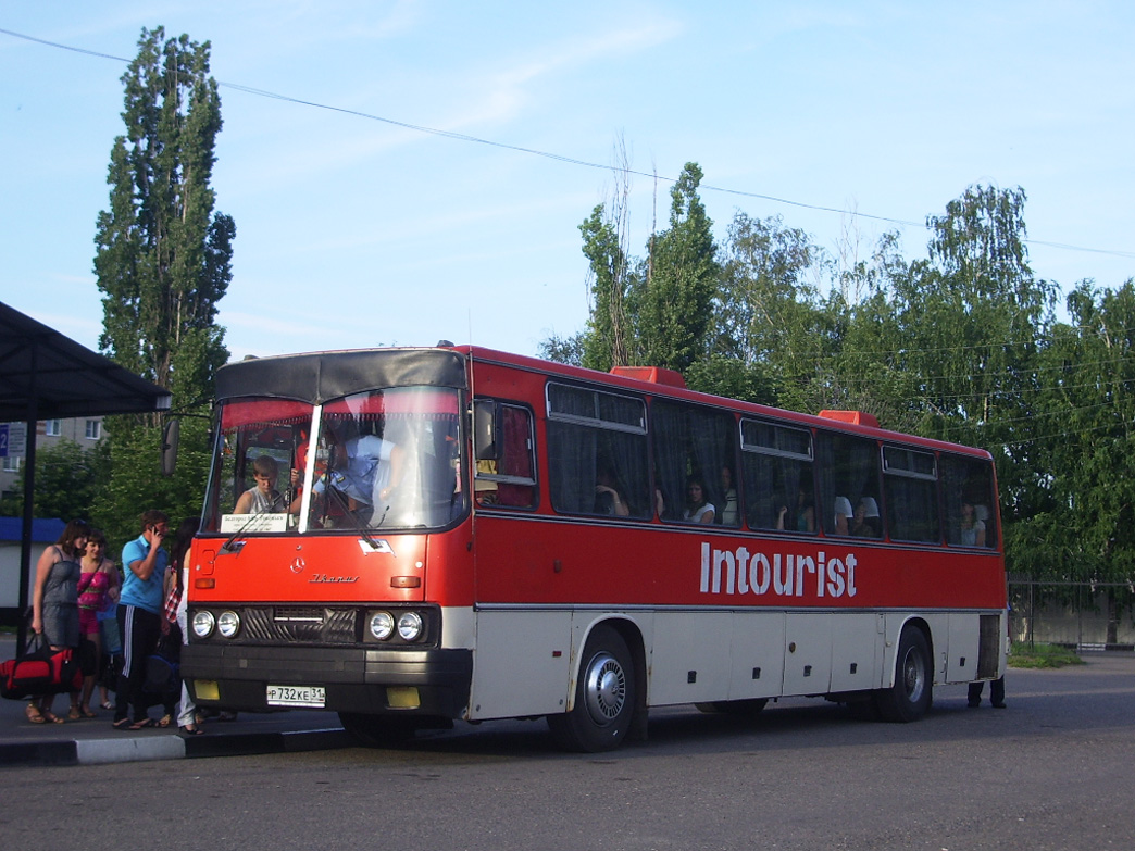 Белгородская область, Ikarus 250.59 № Р 732 КЕ 31 — Фото — Автобусный  транспорт