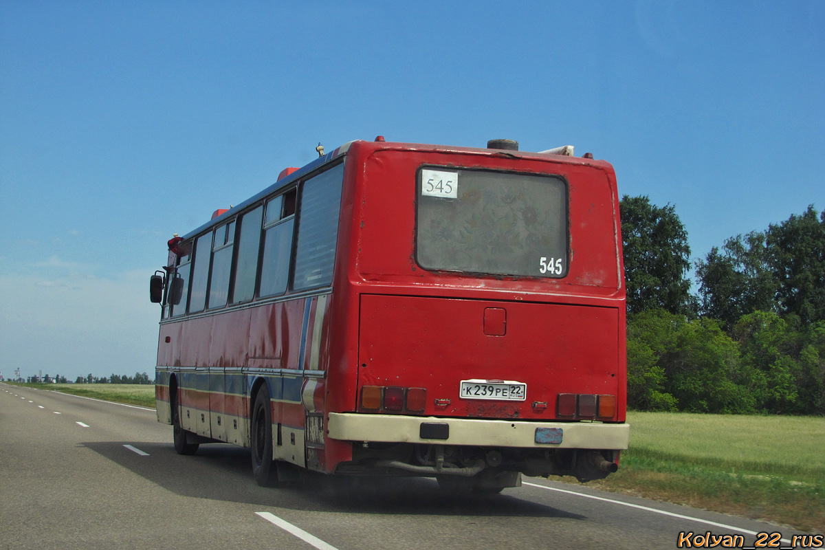 Алтайский край, Ikarus 250.59 № К 239 РЕ 22 — Фото — Автобусный транспорт