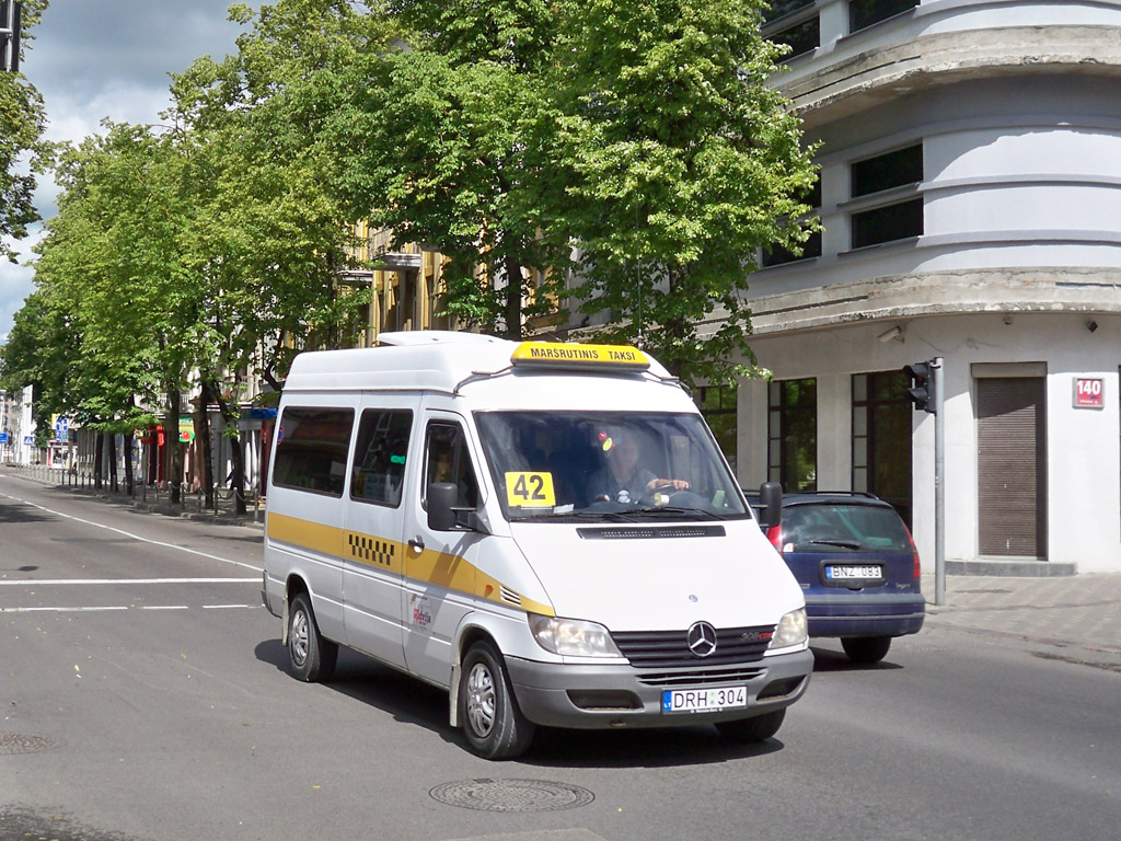 Lithuania, Mercedes-Benz Sprinter W903 308CDI # DRH 304
