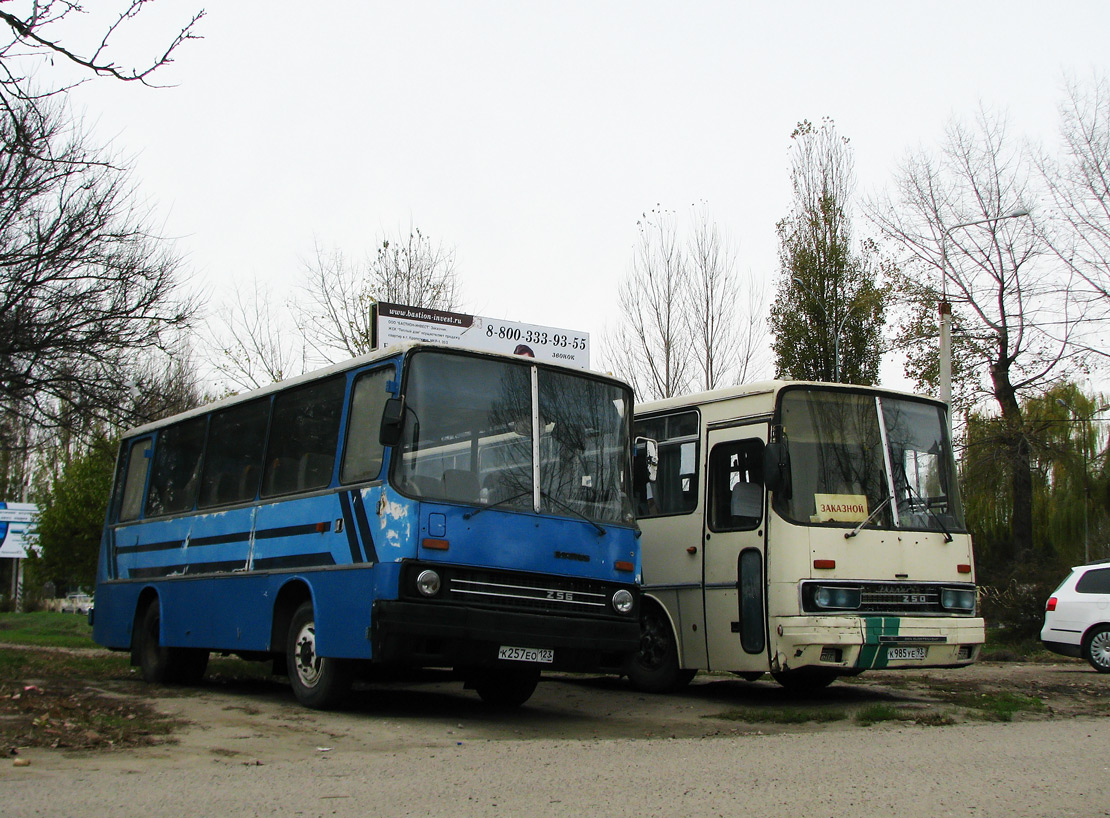 Краснодарский край, Ikarus 211.51 № К 257 ЕО 123 — Фото — Автобусный  транспорт