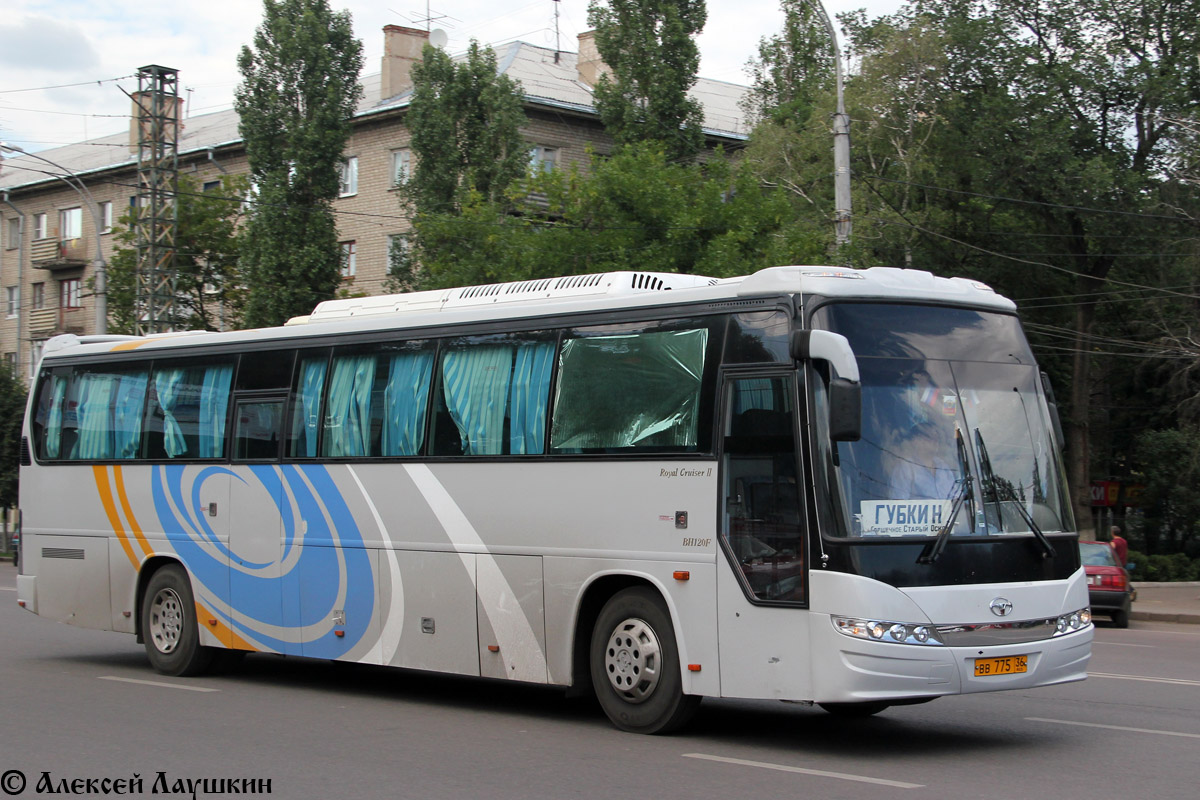 Воронежская область, Daewoo BH120F № ВВ 775 36 — Фото — Автобусный транспорт