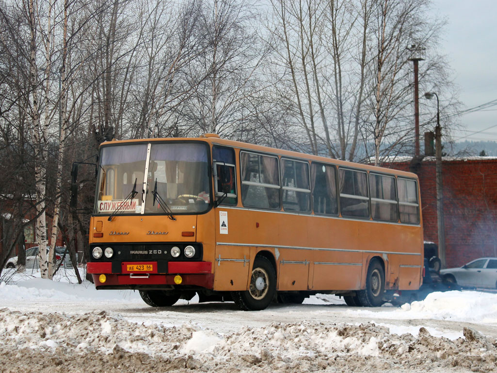 Свердловская область, Ikarus 260.50 № АЕ 423 66 — Фото — Автобусный  транспорт