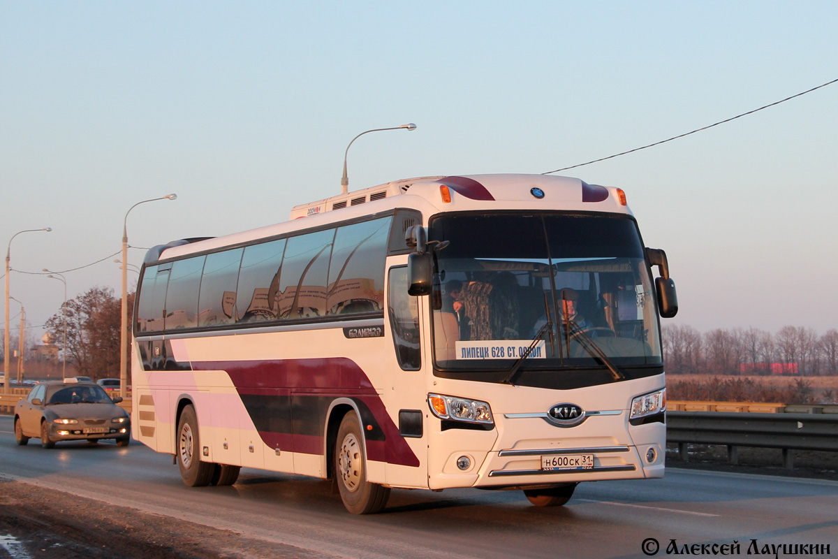 Белгородская область, Kia Granbird KM949 № Н 600 СК 31 — Фото — Автобусный  транспорт