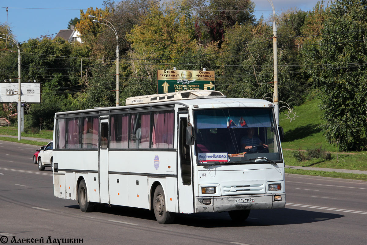 Воронежская область, TAM-260A119 № У 418 ТР 36 — Фото — Автобусный транспорт