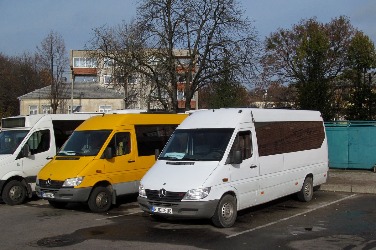 Lithuania, Mercedes-Benz Sprinter W903 316CDI # GUE 608