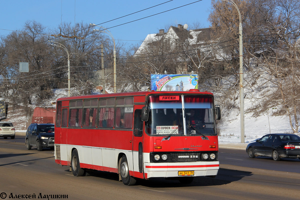 Воронежская область, Ikarus 256.74 № АК 541 36 — Фото — Автобусный транспорт