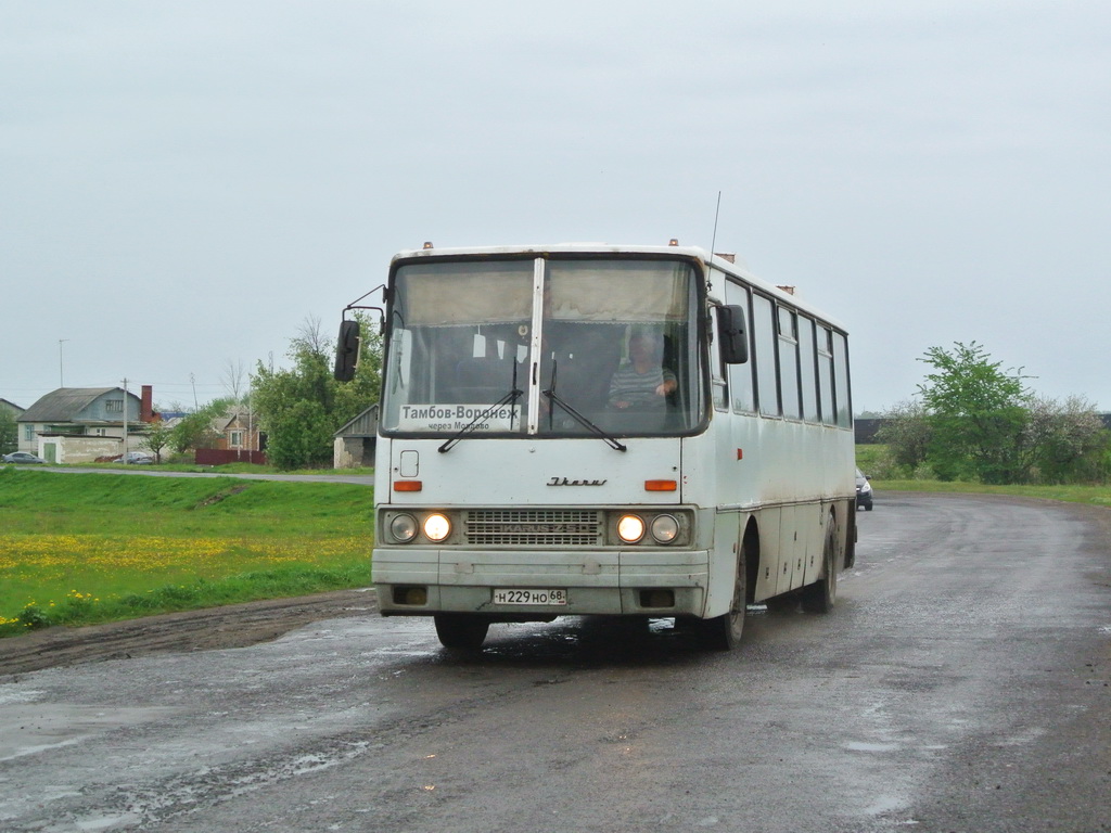 Тамбовская область, Ikarus 250.59 № Н 229 НО 68 — Фото — Автобусный  транспорт