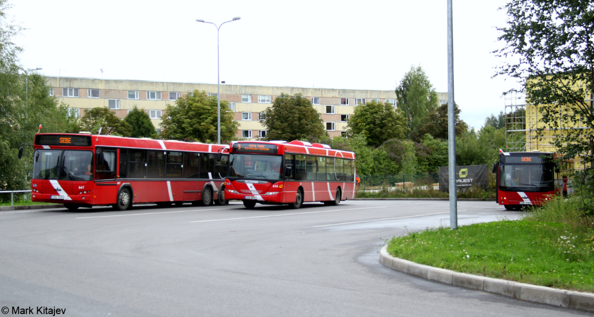 Estonia — Tartumaa — Bus stations, last stops, sites, parks, various