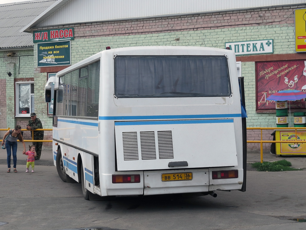 Воронежская область, ПАЗ-4230-02 (КАвЗ) № ВВ 514 36 — Фото — Автобусный  транспорт