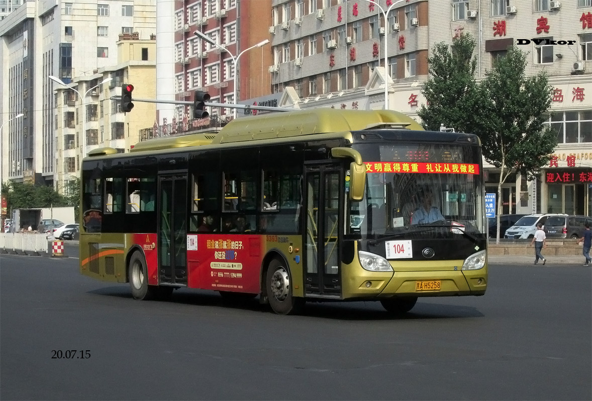 Китай Yutong ZK6125HNG1 3393 Фото Автобусный транспорт