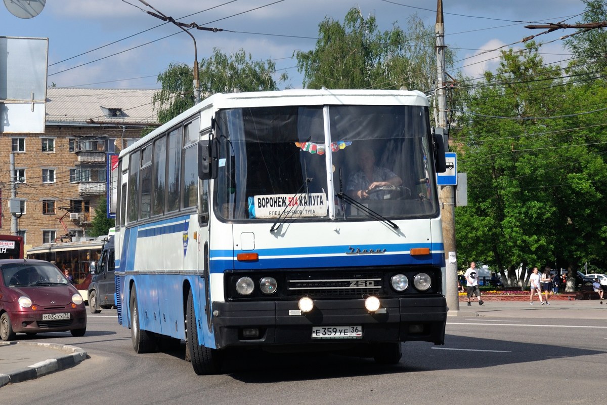 Воронежская область, Ikarus 250.95 № Е 359 УЕ 36 — Фото — Автобусный  транспорт