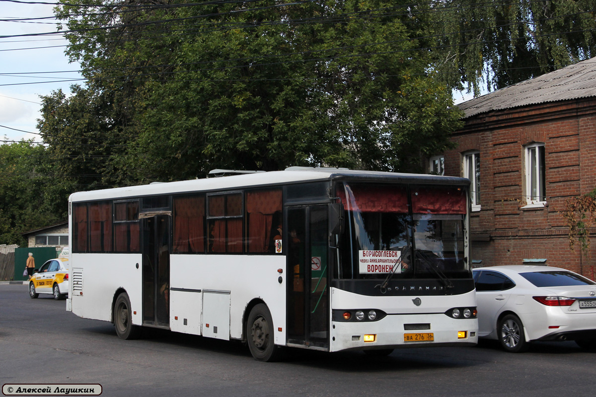 Воронежская область, Волжанин-52701-10-06 № ВА 276 36 — Фото — Автобусный  транспорт