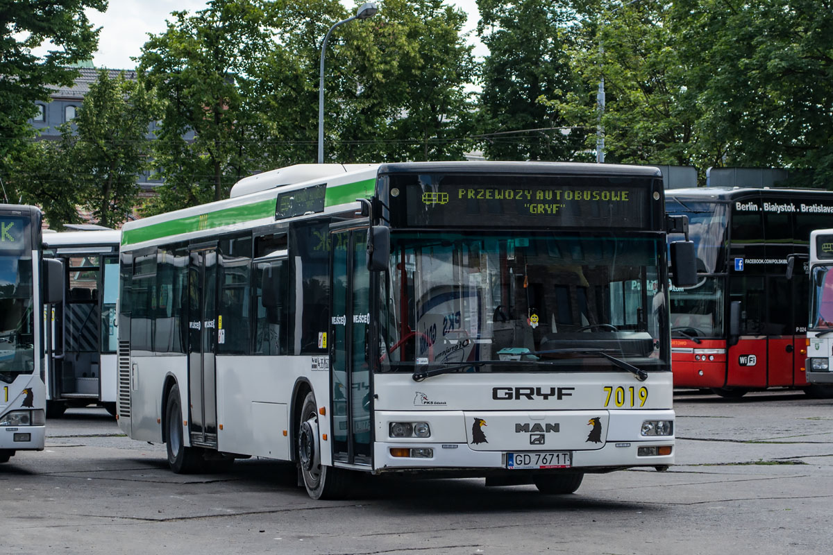 Poland, MAN A21 NL263 # 7019