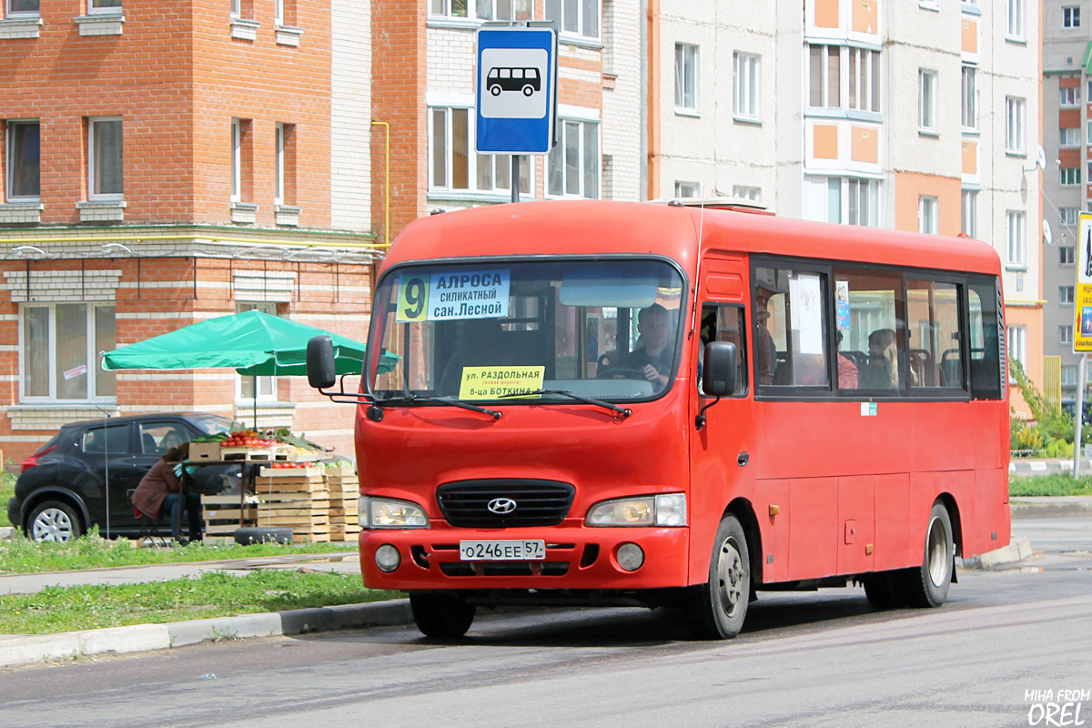 Oryol region, Hyundai County LWB (TagAZ) # О 246 ЕЕ 57