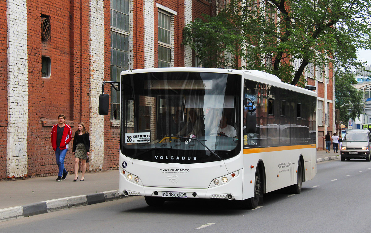 Московская область, Volgabus-5270.0H № 9975 — Фото — Автобусный транспорт