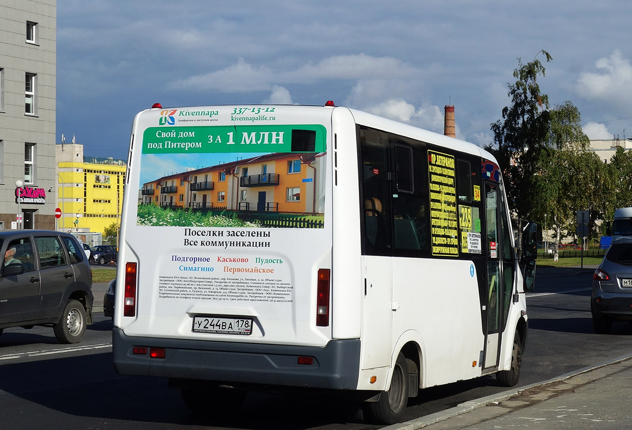 Санкт-Петербург, ГАЗ-A64R42 Next № У 244 ВА 178 — Фото — Автобусный  транспорт