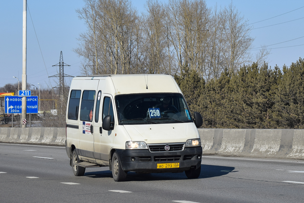 Алтайский край, FIAT Ducato 244 CSMMC, -RT № АО 295 22 — Фото — Автобусный  транспорт