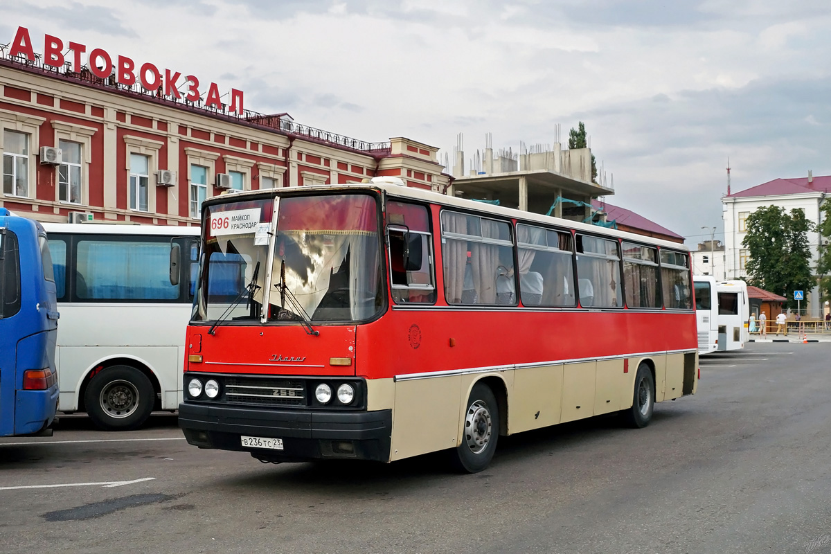 Адыгея, Ikarus 256.74 № В 236 ТС 23 — Фото — Автобусный транспорт