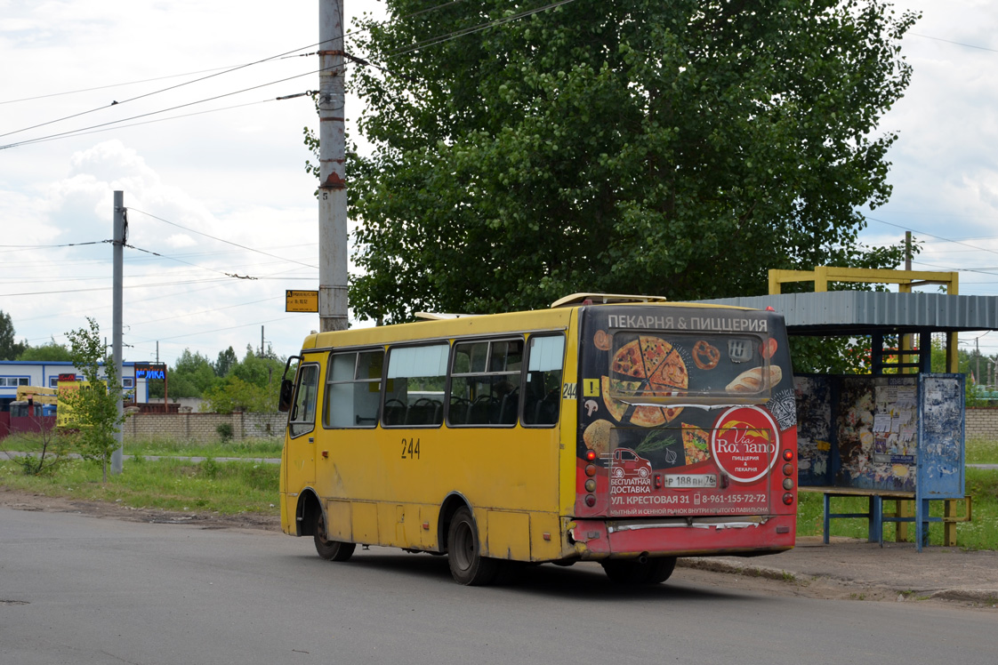 Yaroslavl region, ChA A09204 # 244
