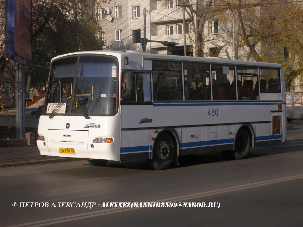 Курганская область, ПАЗ-4230-01 (2-2) № 480