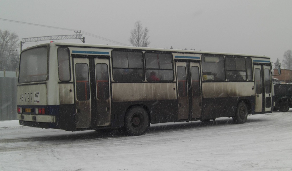 Ленинградская область, Ikarus 263.10 № АЕ 797 47