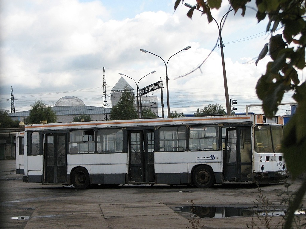 Санкт-Петербург, ЛиАЗ-5256.25 (Петербургавтокам) № 6024