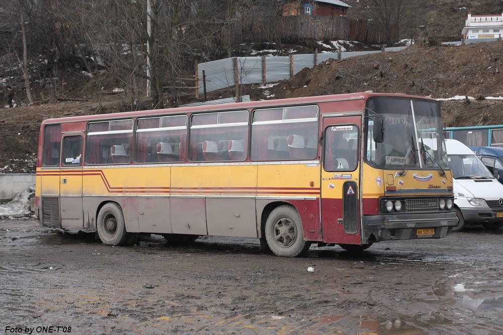 Владимирская область, Ikarus 256.54 № ВВ 525 33