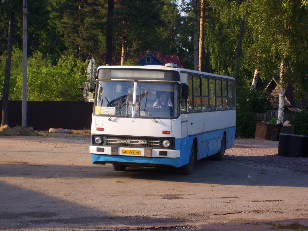 Ленинградская область, Ikarus 263.10 № АЕ 797 47