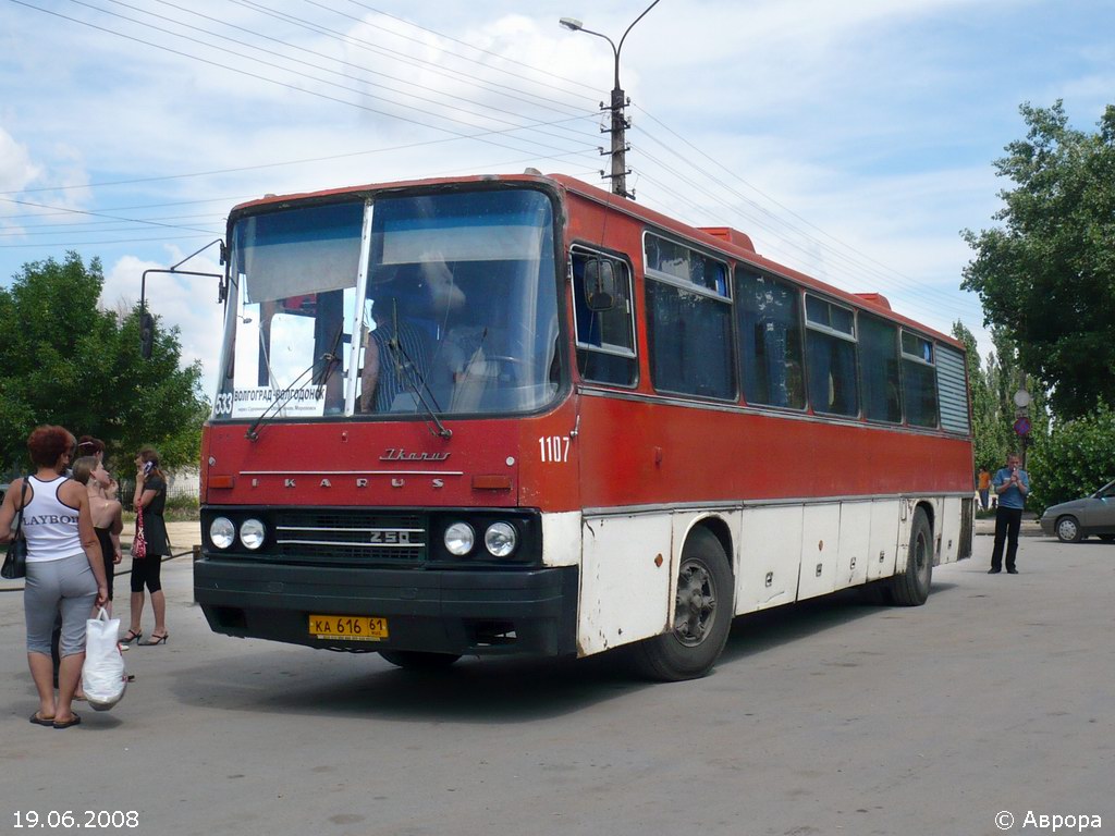 Rostov region, Ikarus 250 № 1107