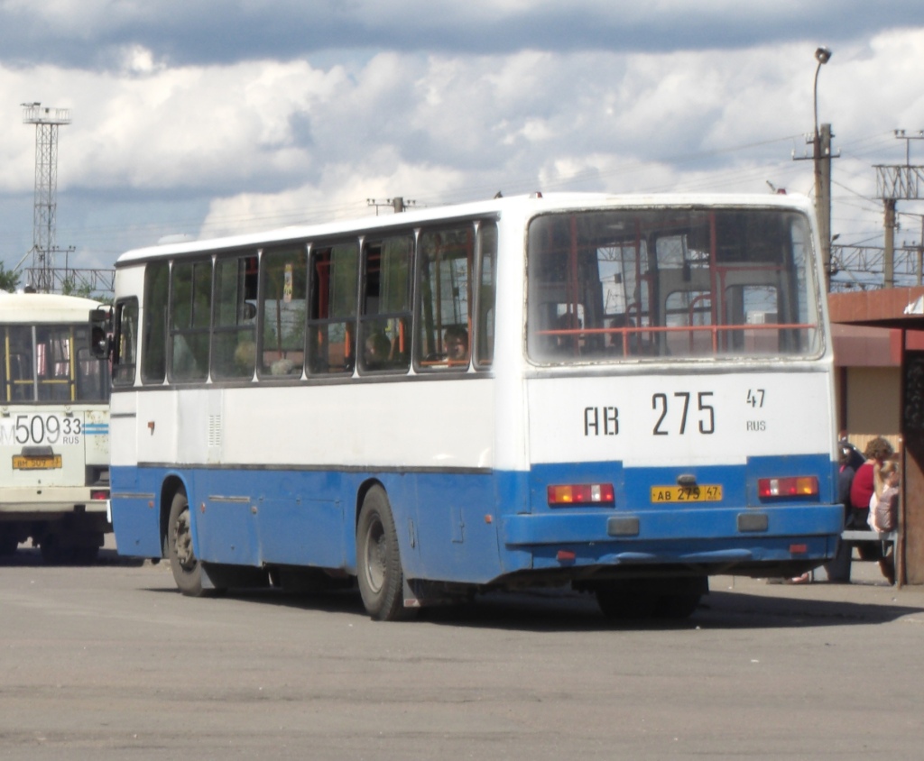 Ленинградская область, Ikarus 263.10 № АВ 275 47