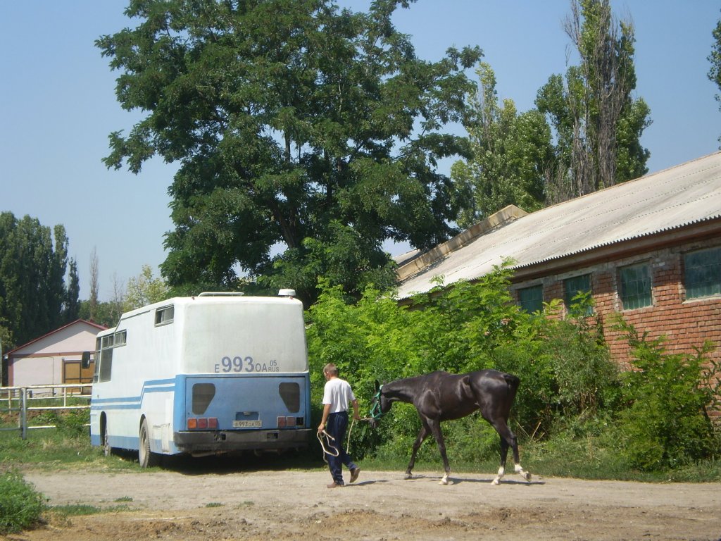 Дагестан, Ikarus 266.31 № Е 993 ОА 05