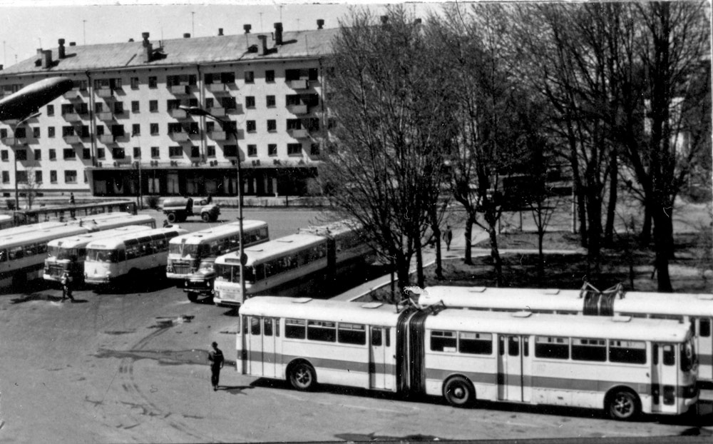 Псковская область, Ikarus 180 № 107