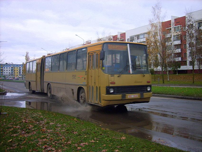 Витебская область, Ikarus 280.03 № 010481