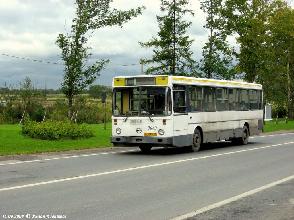 Санкт-Петербург, ЛиАЗ-5256.00 № 7647