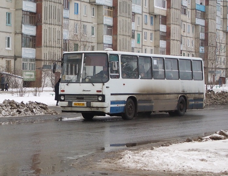 Липецкая область, Ikarus 260.43 № 393