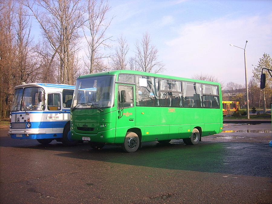 Витебская область, МАЗ-256.170 № 40381