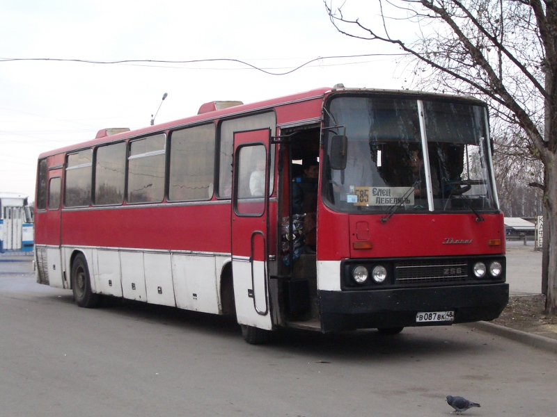 Липецкая область, Ikarus 250.59 № В 087 ВК 48