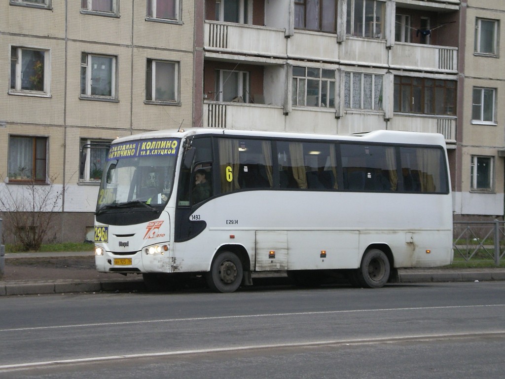 Санкт-Петербург, Otoyol E29.14 № 1493