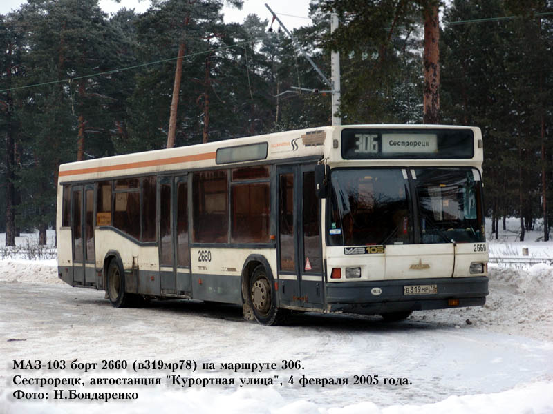 Санкт-Петербург, МАЗ-103.040 № 2660