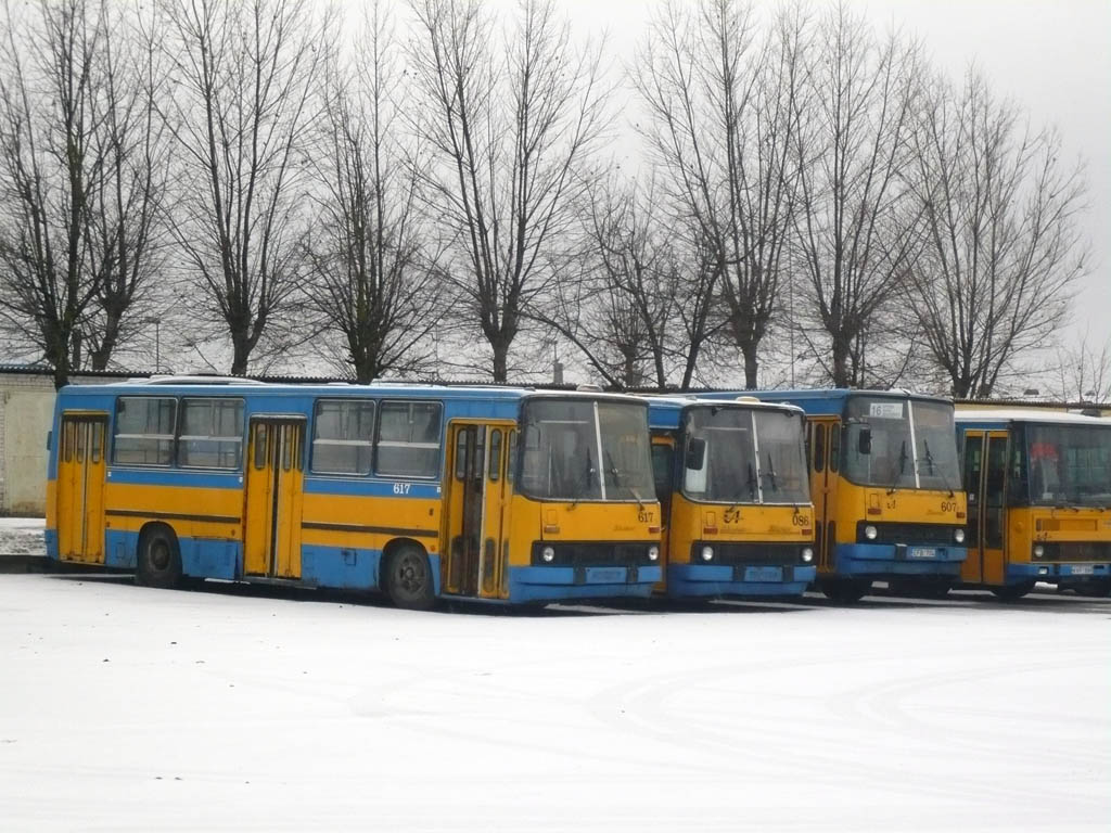 Литва, Ikarus 260.37 № 617