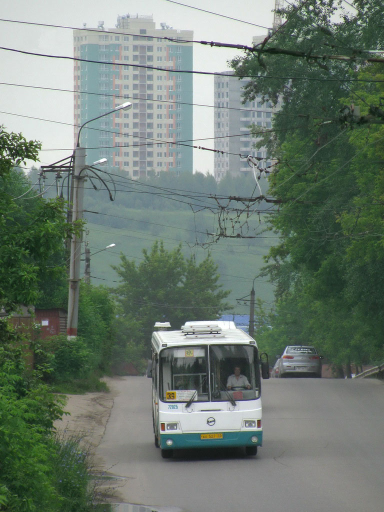 Нижегородская область, ЛиАЗ-5256.26 № 72025