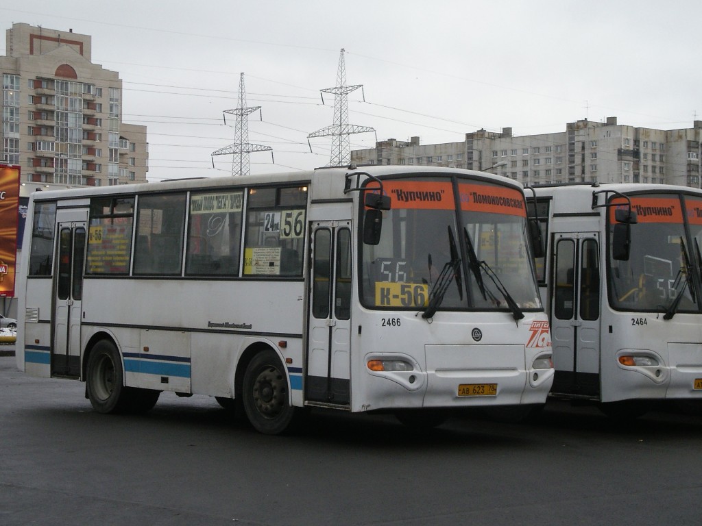 Санкт-Петербург, КАвЗ-4235-03 № 2466