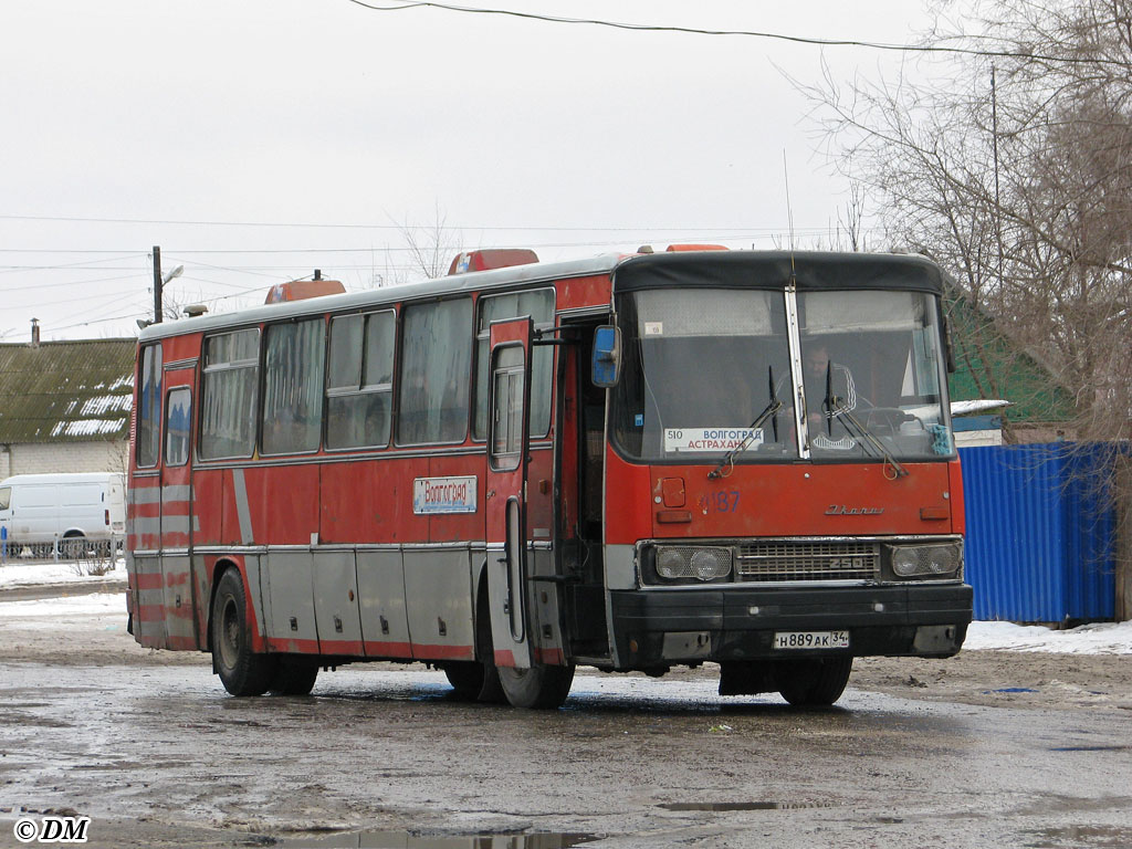 Волгоградская область, Ikarus 250.59 № 4187